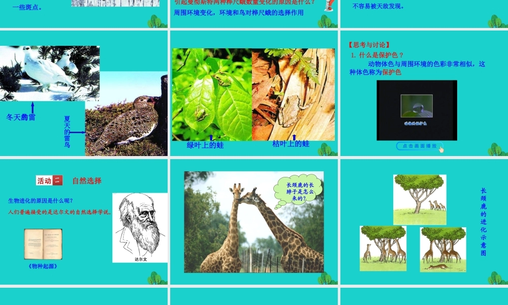 八年级生物下册 7.3.3 生物进化的原因课件 八年级生物下册 7.3.3 生物进化的原因课件+素材(新版)新人教版 八年级生物下册 7.3.3 生物进化的原因课件+素材(新版)新人教版-2