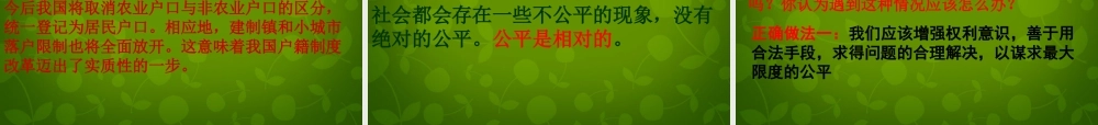 八年级政治下册 9.2(维护社会公平)课件 新人教版 课件