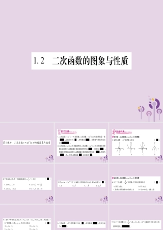 九年级数学下册 第1章 二次函数 12 二次函数的图象与性质 第1课时 作业课件 (新版)湘教版 课件