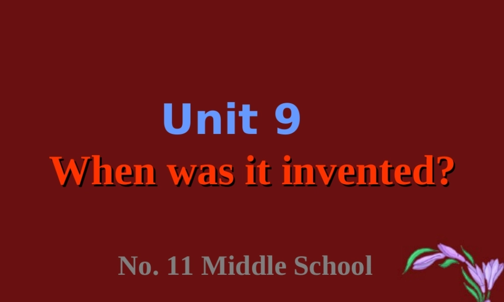 九年级英语Unit9 Period5课件人教新目标版 课件