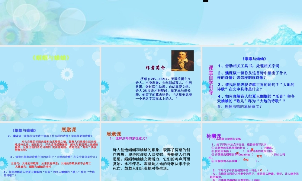 九年级语文上册 外国诗两首课件 新人教版 课件