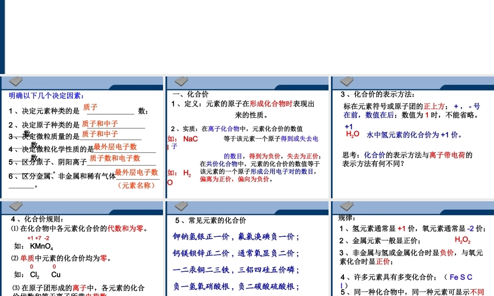 中考化学 化合价与化学式复习课件 人教新课标版 课件