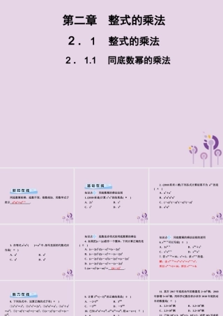 七年级数学下册 第2章(整式的乘法)2.1 整式的乘法 2.1.1 同底数幂的乘法习题课件 (新版)湘教版 课件