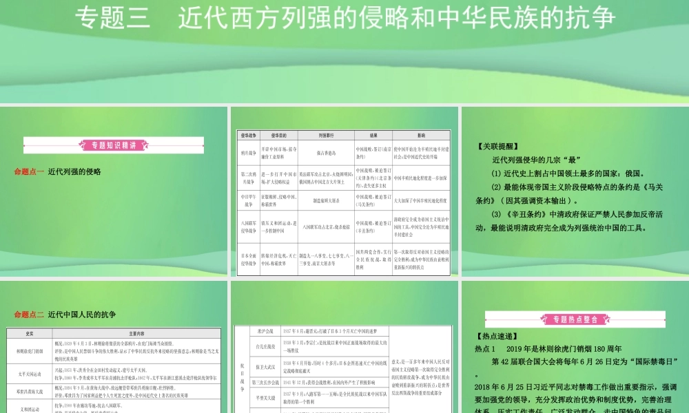 中考历史复习 专题三 近代西方列强的侵略和中华民族的抗争课件