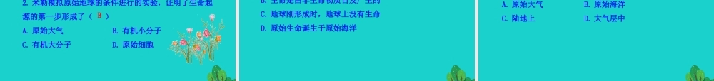 八年级生物下册 7.3.1 地球上生命的起源课件(新版)新人教版 课件