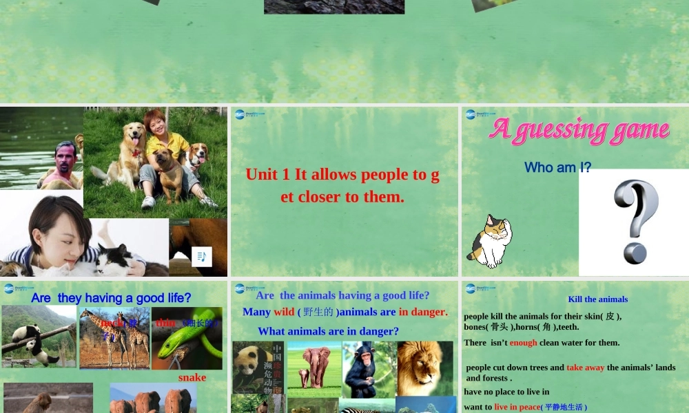 八年级英语上册 Module 6 Unit 1 It allows people to get closer to them课件(新版)外研版 课件