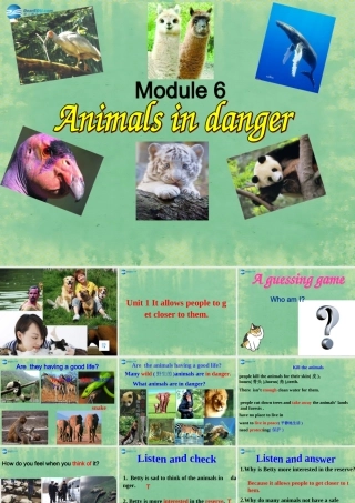 八年级英语上册 Module 6 Unit 1 It allows people to get closer to them课件(新版)外研版 课件