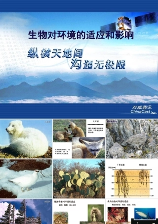 七年级生物生物对环境的适应和影响鲁教版 课件