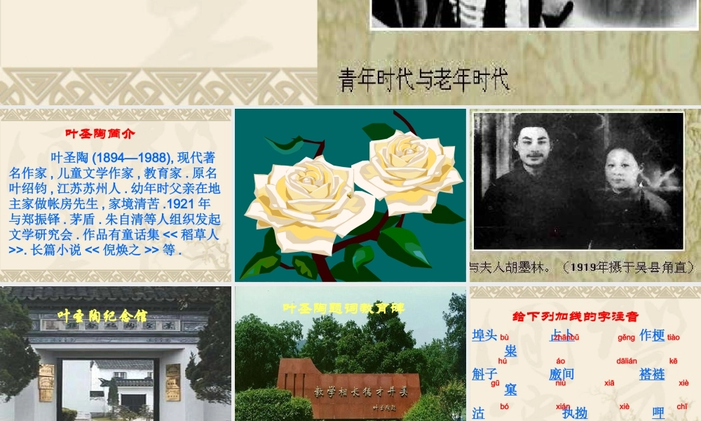 九年级语文上册多收了三五斗3 ppt 课件