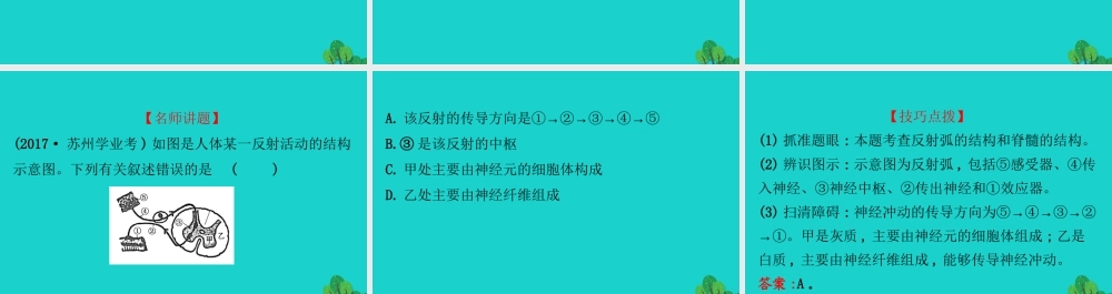 七年级生物下册 4.6.3神经调节的基本方式习题课件(新版)新人教版 课件
