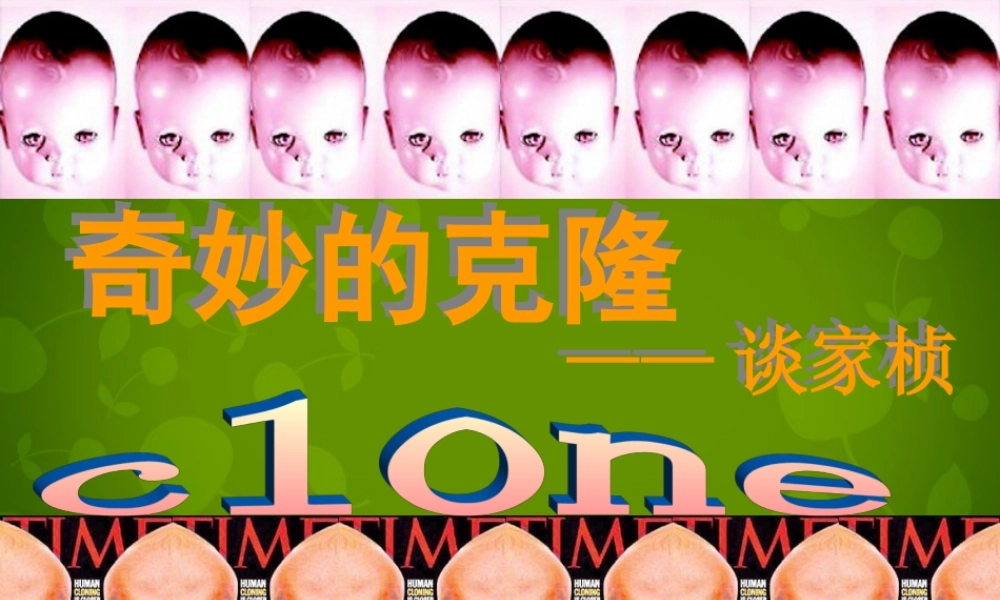 八年级语文上册 17 奇妙的克隆课件 新人教版 课件