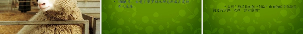 八年级语文上册 17 奇妙的克隆课件 新人教版 课件