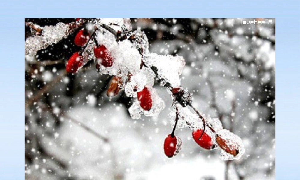 九年级政治 第四单元第十课第四节拥抱美好未来课件 人教新课标版 课件