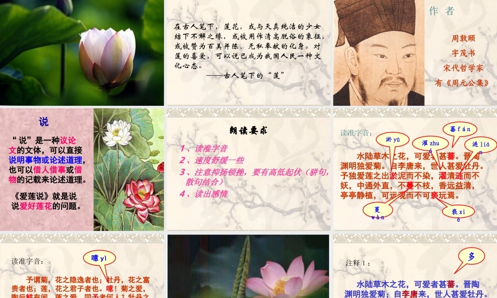 九年级语文上册 第21课(短文两篇)课件 鄂教版 课件