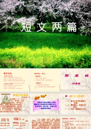 九年级语文上册 第21课(短文两篇)课件 鄂教版 课件
