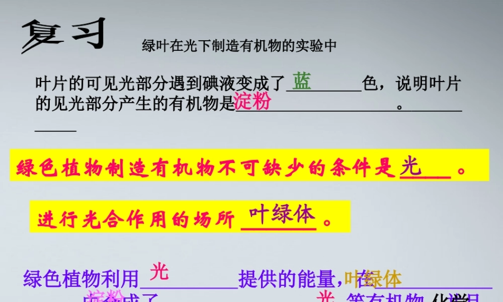 七年级生物上册 绿色植物通过光合作用制造有机物课件 人教新课标版 课件