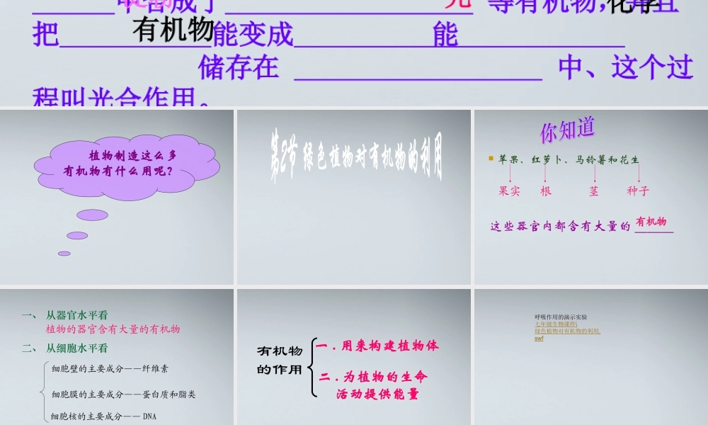 七年级生物上册 绿色植物通过光合作用制造有机物课件 人教新课标版 课件