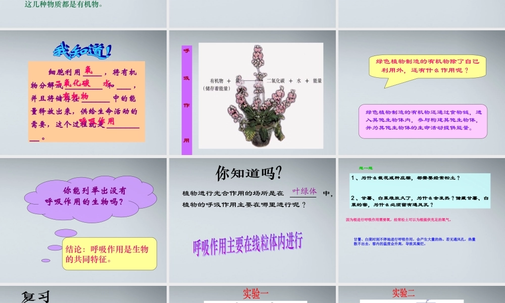 七年级生物上册 绿色植物通过光合作用制造有机物课件 人教新课标版 课件