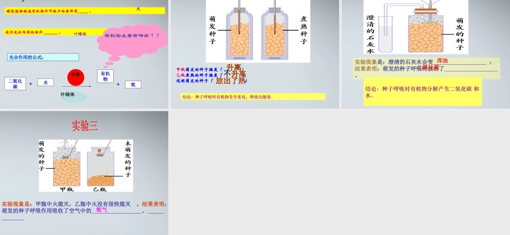 七年级生物上册 绿色植物通过光合作用制造有机物课件 人教新课标版 课件