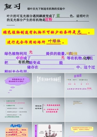 七年级生物上册 绿色植物通过光合作用制造有机物课件 人教新课标版 课件