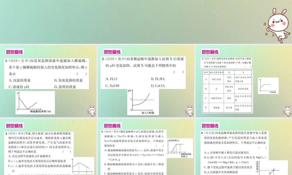 中考化学复习 题型复习(一)坐标图像题课件