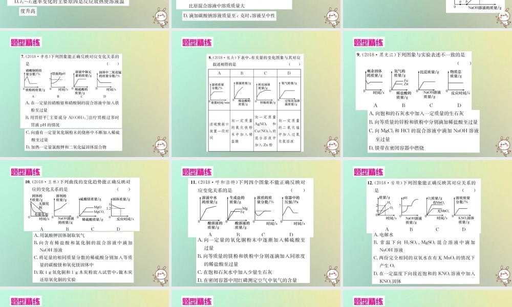 中考化学复习 题型复习(一)坐标图像题课件