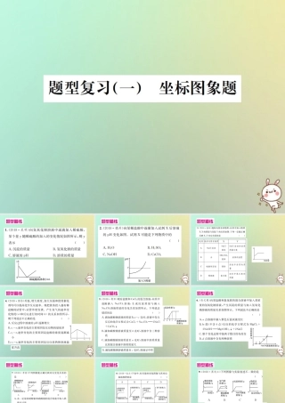 中考化学复习 题型复习(一)坐标图像题课件