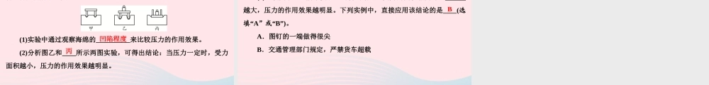 八年级物理下册 第9章 压强本章热点专练课件 (新版)新人教版 课件