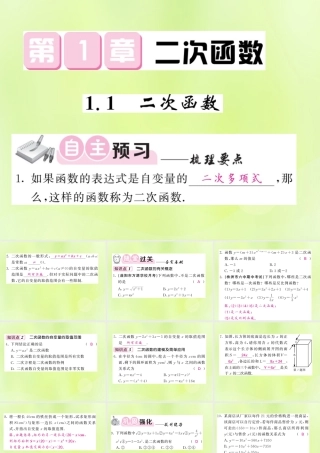 九年级数学下册 第1章 二次函数 11 二次函数习题课件 (新版)湘教版 课件