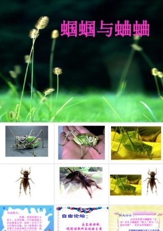 九年级语文(蝈蝈与蛐蛐)( 夜)课件人教版 课件