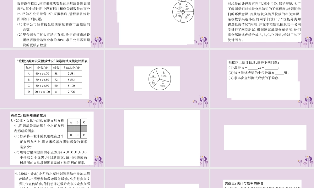 中考数学复习 第二轮 中档题突破 专项突破9 统计与概率习题课件