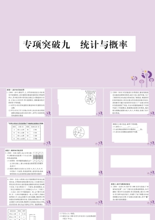 中考数学复习 第二轮 中档题突破 专项突破9 统计与概率习题课件