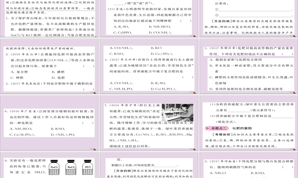 中考化学总复习 第一轮复习 系统梳理 夯基固本 第24讲 化学肥料课件