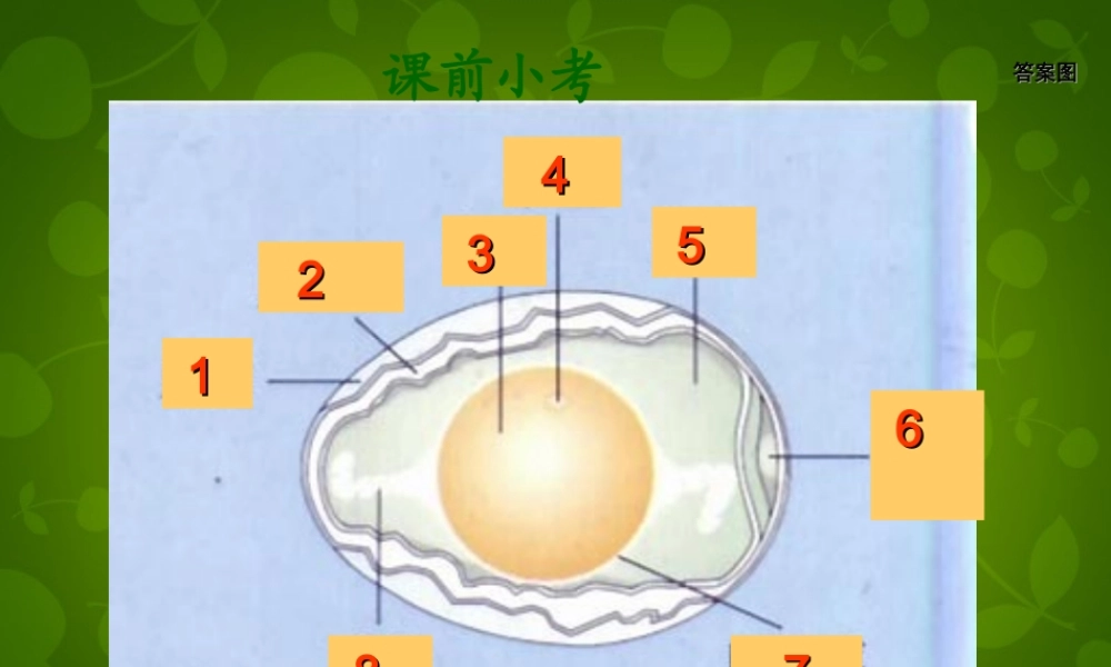 八年级生物下册(第七单元 第二章 第1节 基因控制生物的性状)课件 新人教版 课件