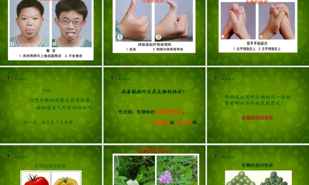 八年级生物下册(第七单元 第二章 第1节 基因控制生物的性状)课件 新人教版 课件