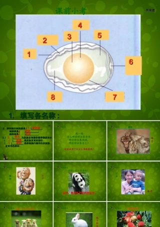 八年级生物下册(第七单元 第二章 第1节 基因控制生物的性状)课件 新人教版 课件