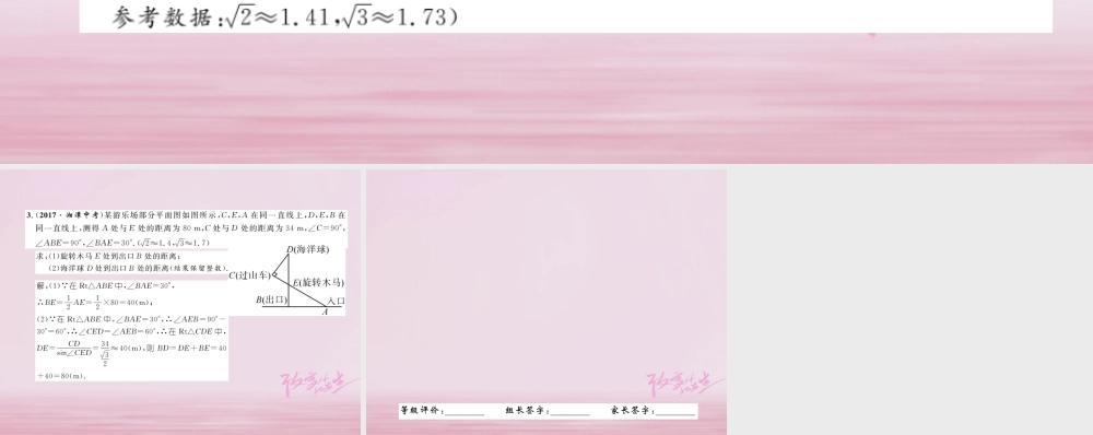 九年级数学上册 44 解直角三角形的应用(第1课时)与俯角、仰角有关的应用问题练习课件 (新版)湘教版 课件