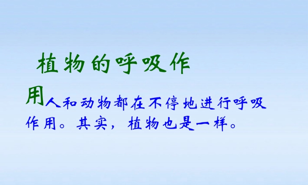 八年级生物下册 生物植物的呼吸作用课件 人教新课标版 课件