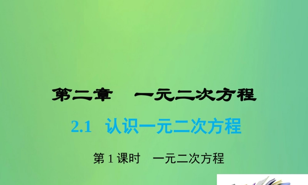 九年级数学上册 21 认识一元二次方程 第1课时 一元二次方程课件(A层)(新版)北师大版 课件