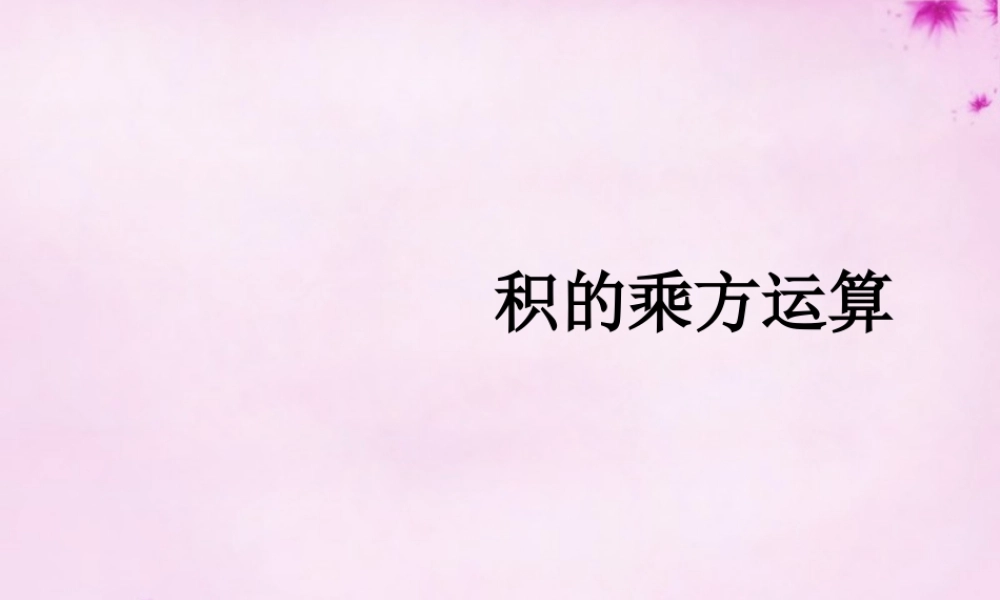 七年级数学上册 第二章 2.7 有理数的乘法 积的乘方课件 (新版)北师大版 课件