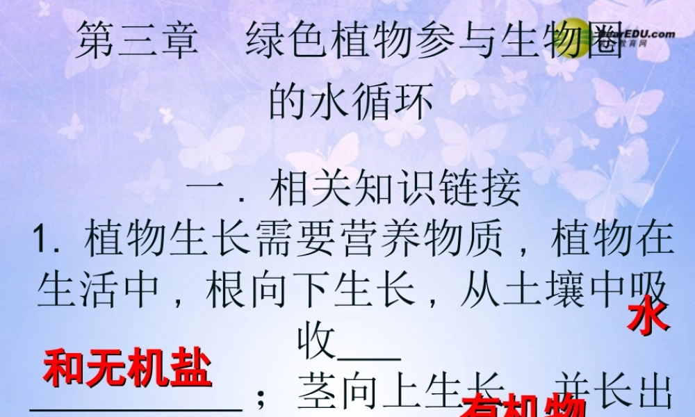 七年级生物上册 第三章 第三节 绿色植物参与生物圈的水循环课件 新人教版 课件