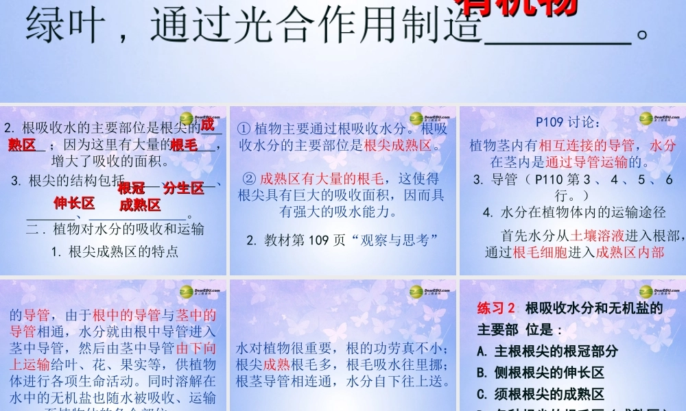 七年级生物上册 第三章 第三节 绿色植物参与生物圈的水循环课件 新人教版 课件