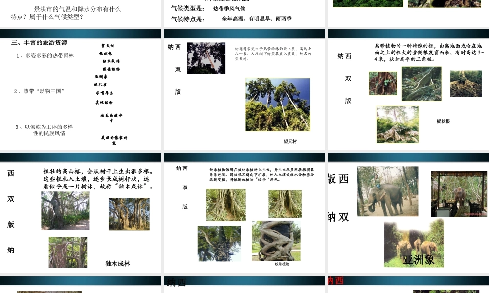 八年级地理下册 第二节西南边陲的特色旅游区-西双版纳课件 人教新课标版 课件