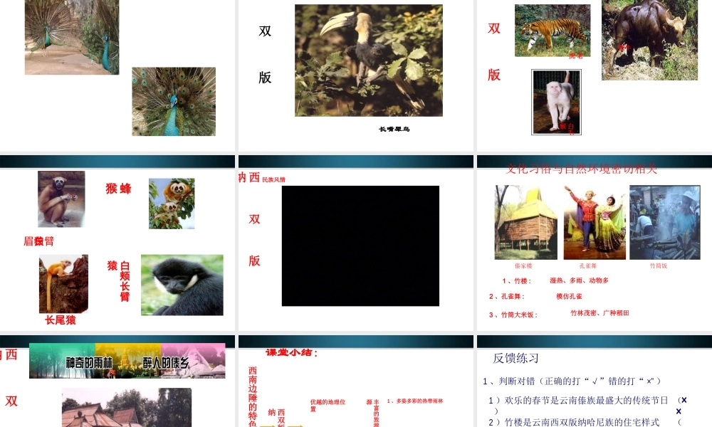 八年级地理下册 第二节西南边陲的特色旅游区-西双版纳课件 人教新课标版 课件