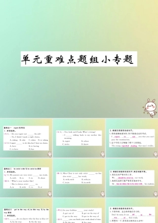 九年级英语全册 Unit 7 Teenagers should be allowed to choose their own clothes单元重难点题组小专题课件 (新版)人教新目标版 课件