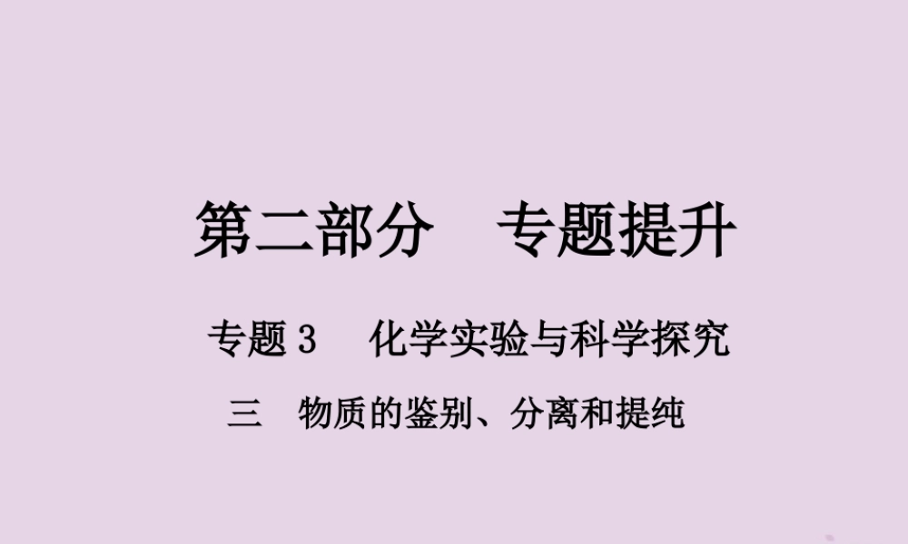 中考化学总复习 第二部分 专题提升 专题3 化学实验与科学探究 三 物质的鉴别、分离和提纯课件