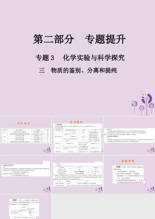 中考化学总复习 第二部分 专题提升 专题3 化学实验与科学探究 三 物质的鉴别、分离和提纯课件