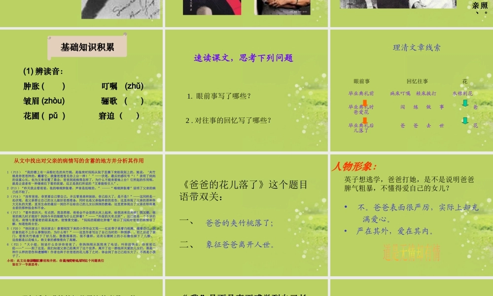 中学七年级语文下册(爸爸的花儿落了)课件 新人教版 课件