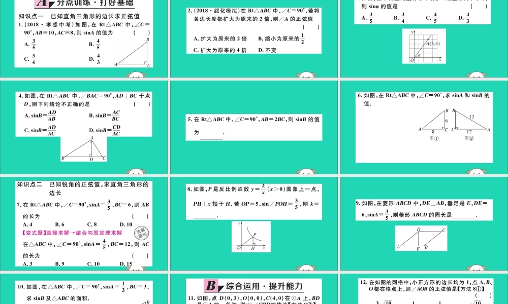 九年级数学下册 第二十八章 锐角三角函数 281 锐角三角函数 第1课时 正弦函数习题讲评课件 (新版)新人教版 课件