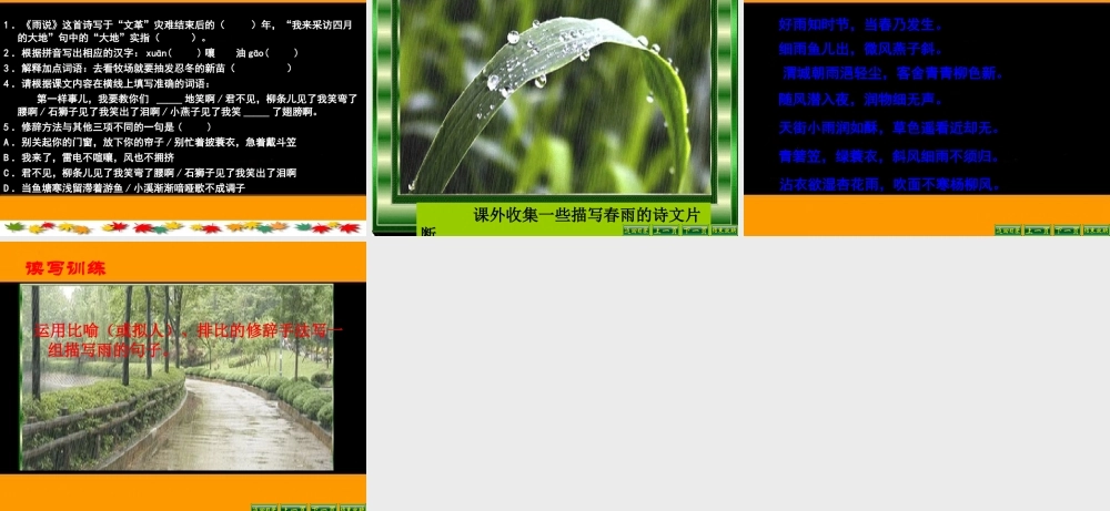 九年级语文上：第2课(雨说)课件(人教新课标) 课件